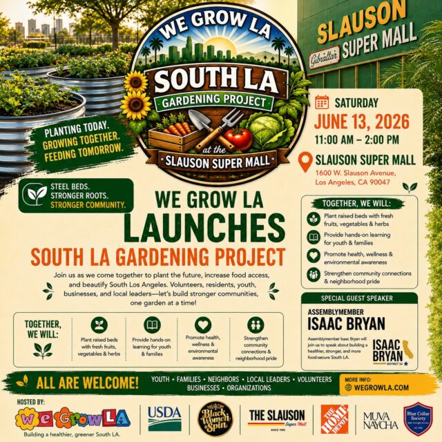 ‼️🚨Attn Slauson family! We Grow LA has done it again… first the free groceries and now a new garden! Join us this Saturday with @blackwomenspin DJ, free healthy treats, and an opportunity to plant your own seeds to bring home with you!
To all of the sponsors, partners, and community members that made this possible- THANK YOU!